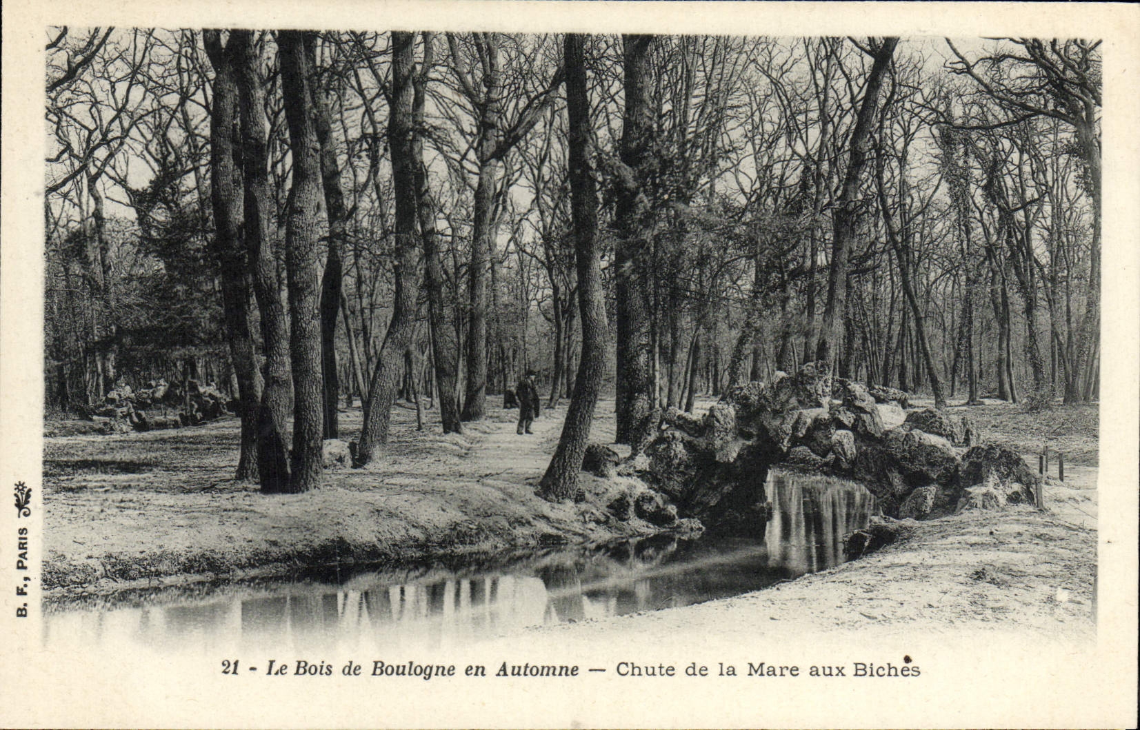 VINTAGE POSTCARD the Bois de Boulogne in Fall Falls of the Pond to the Hinds
