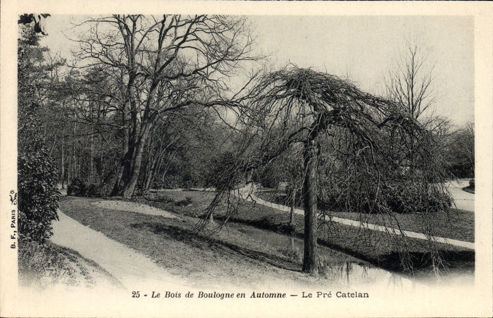 VINTAGE POSTCARD the Bois de Boulogne in Fall Pre Catelan