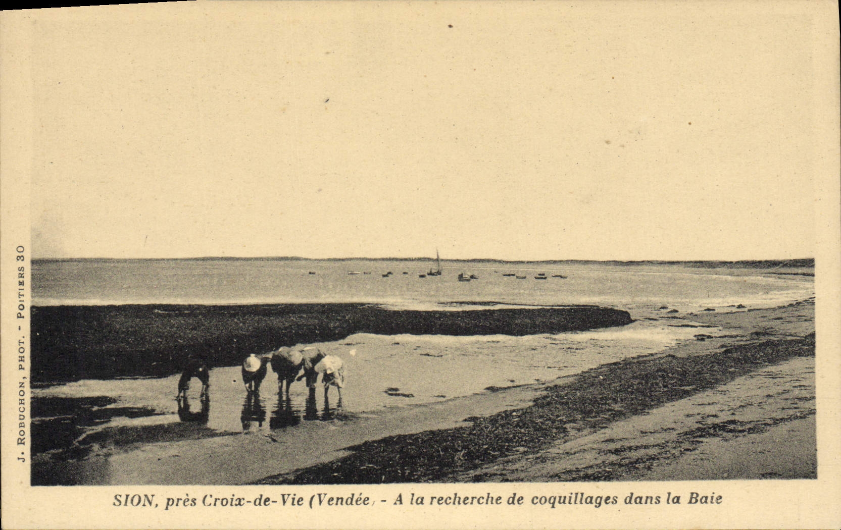 CPA Sion Pres Croix de Vie A la Recherche de coquillages dans la baie