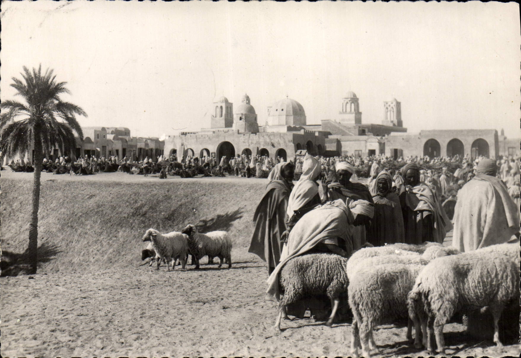 CPM Marche Dans Le Sud