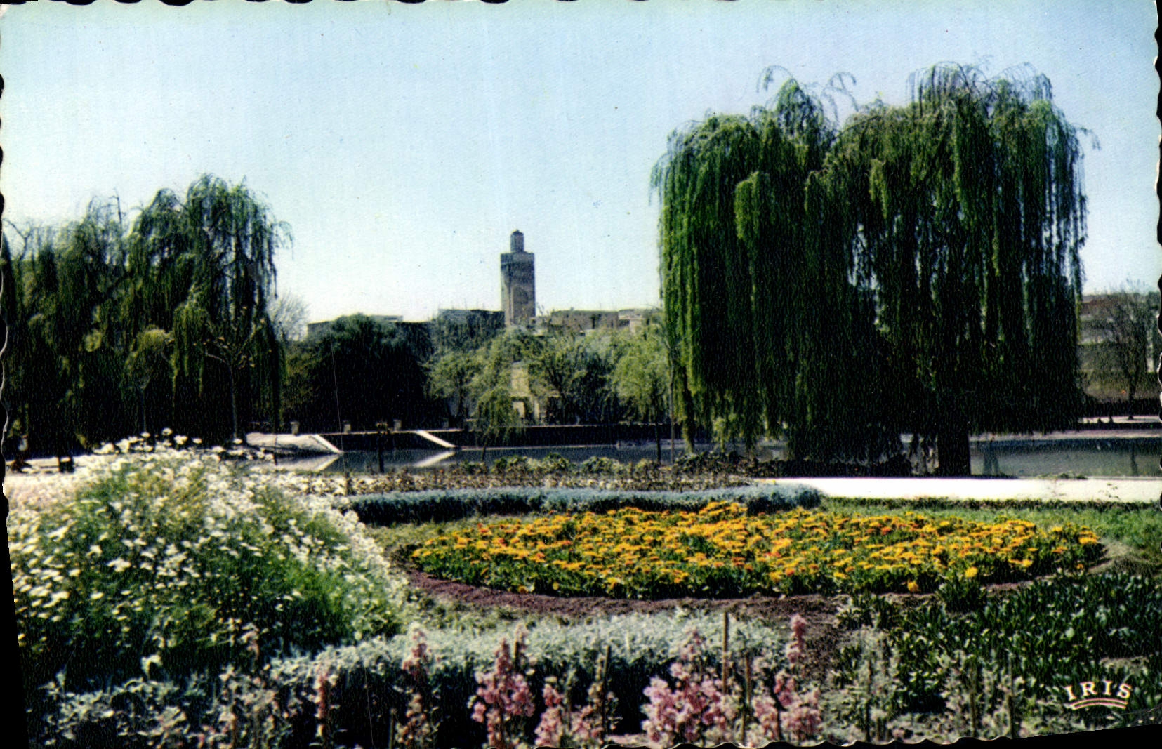POSTAL MODERNA parque de Fes