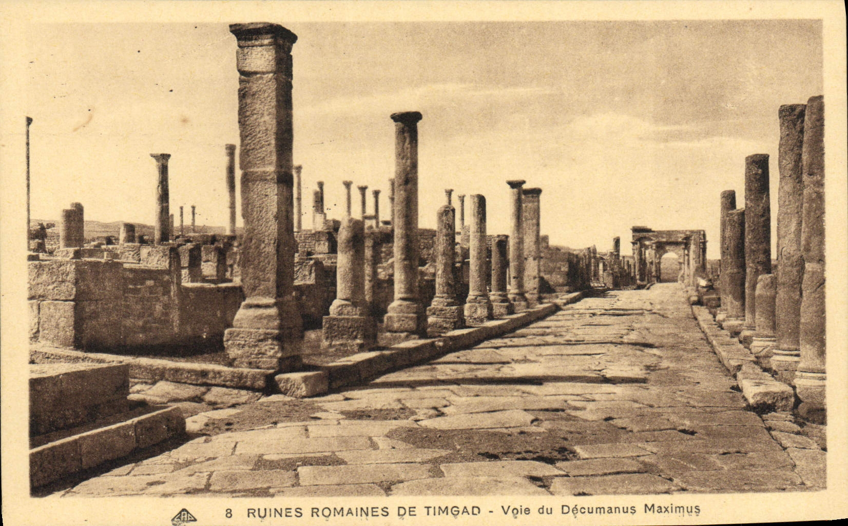 CPA Ruines Romaines De Timgad Voie Du Decumanus Maximus