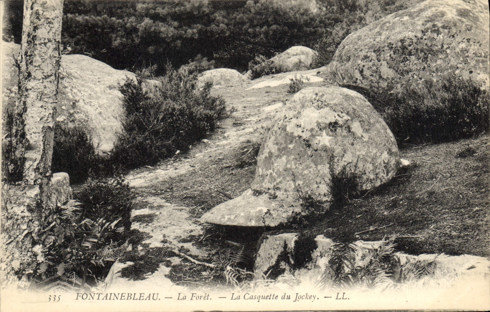 CPA Fontainebleau Le Foret La Casquette Du Jockey