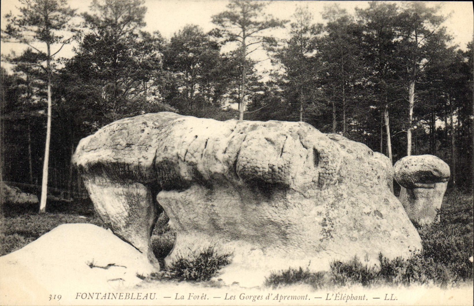 VINTAGE POSTCARD Fontainebleau the Drill the Apremont Falls the elephant