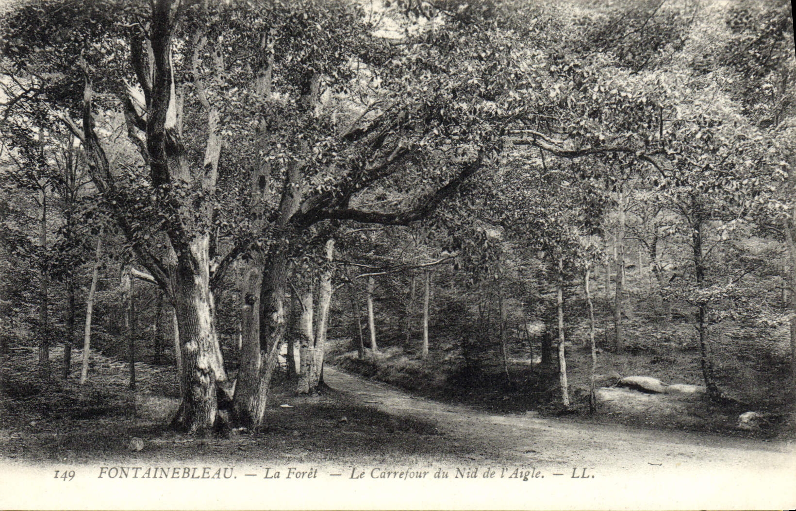 VINTAGE POSTCARD Fontainebleau the Drill the Crossroads Of the Nest De I' Aigle