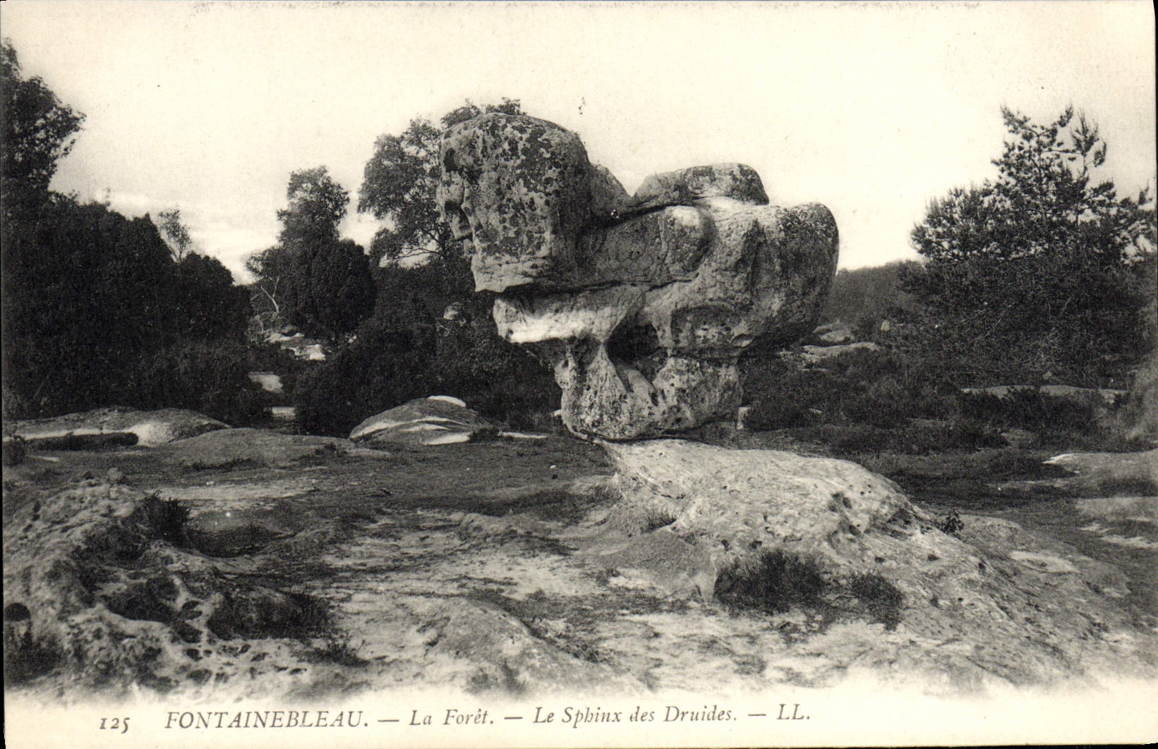 CPA Fontainebleau La Foret Le Sphinx Des Druides
