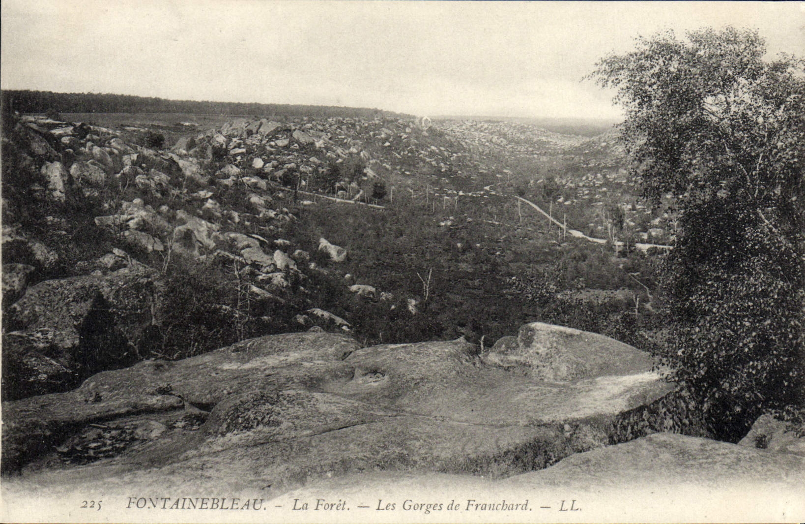 VINTAGE POSTCARD Fontainebleau the Drill the Falls De Frauchard