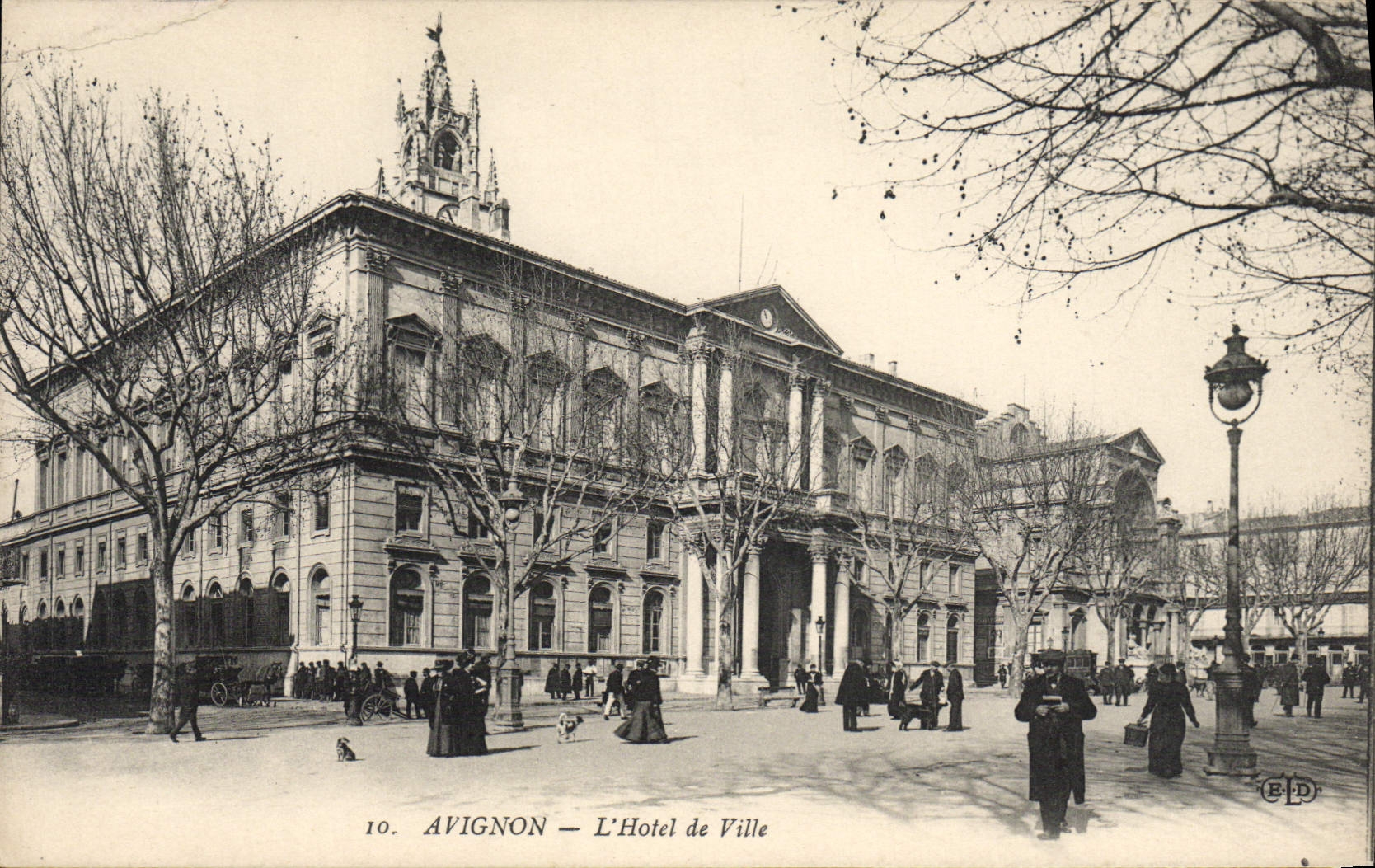 POSTAL Avignon de la VENDIMIA el ayuntamiento