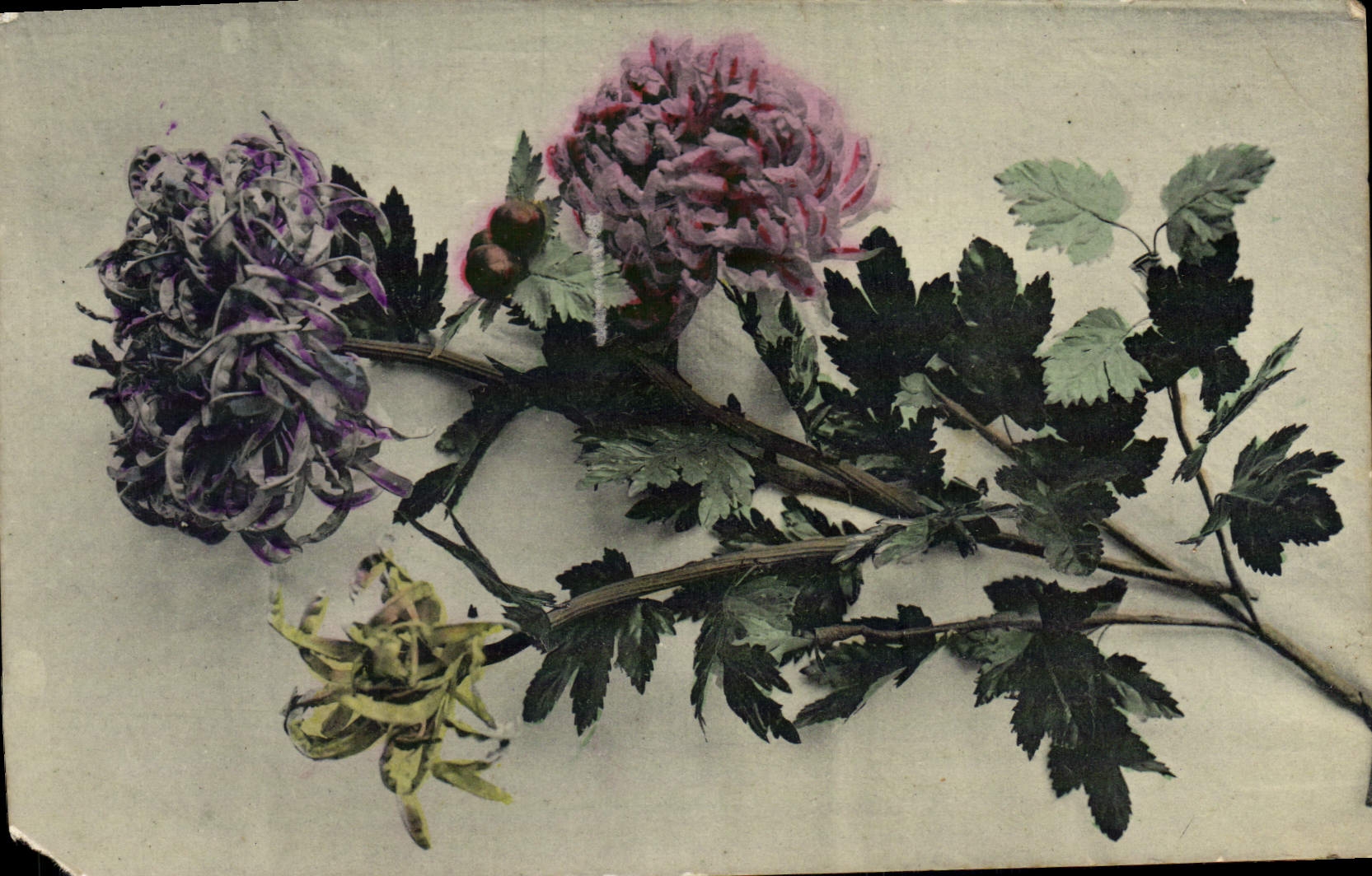 CPA Fantaisie Fleurs 