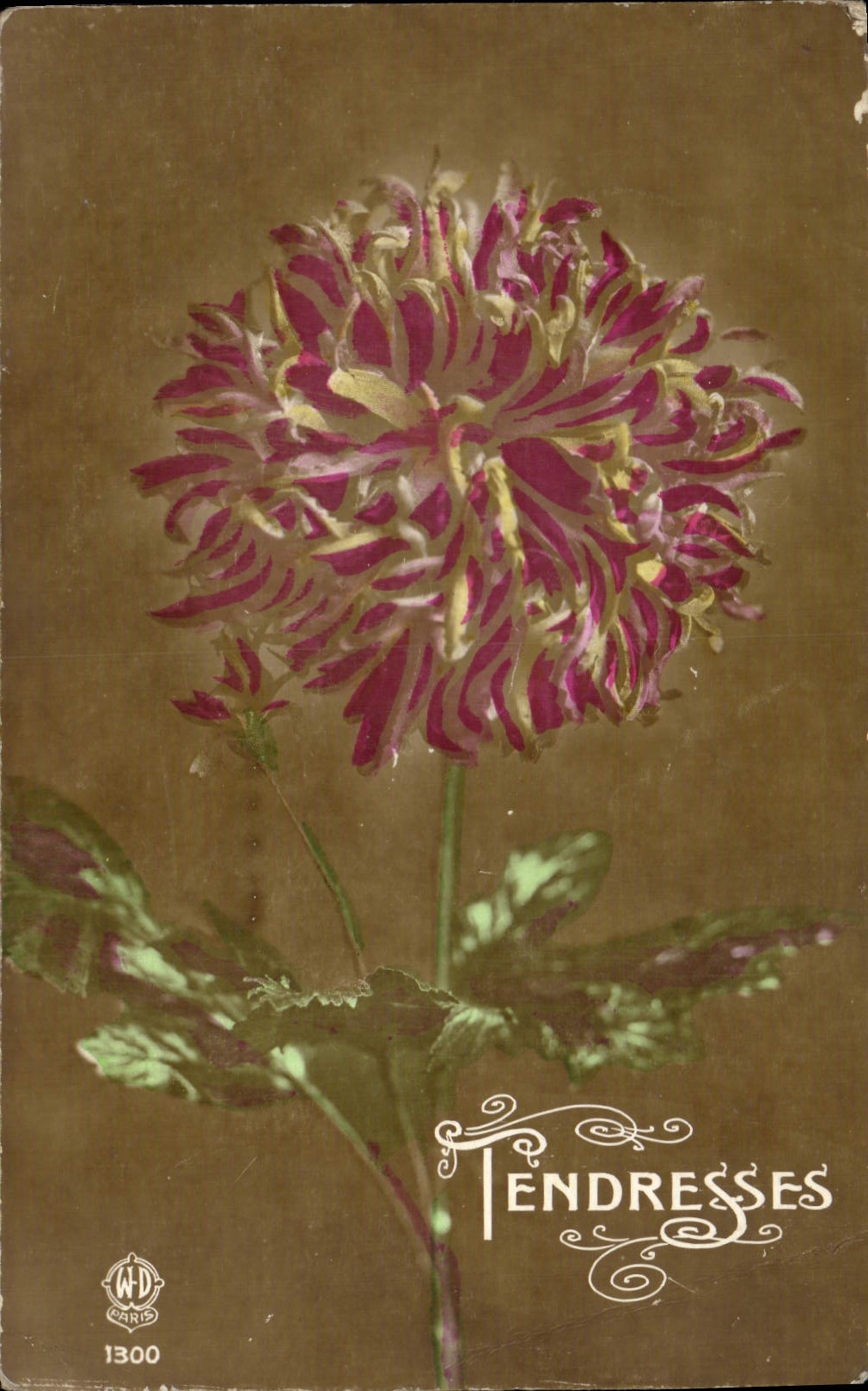 CPA Fantaisie Fleurs 