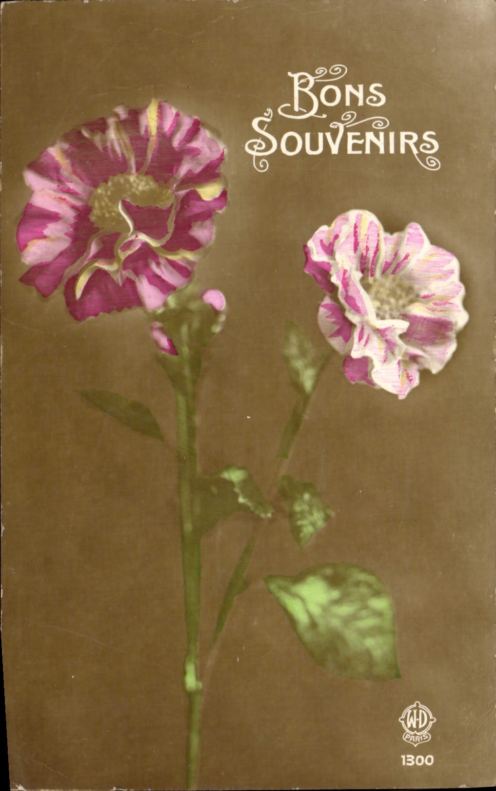 CPA Fantaisie Fleurs