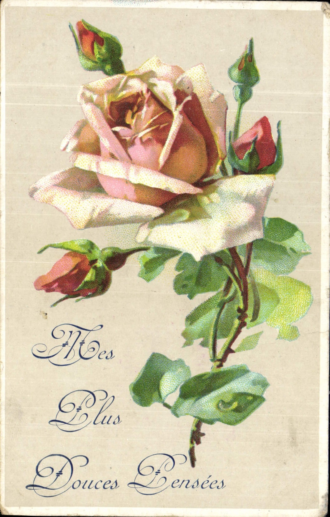 CPA Fantaisie Fleurs