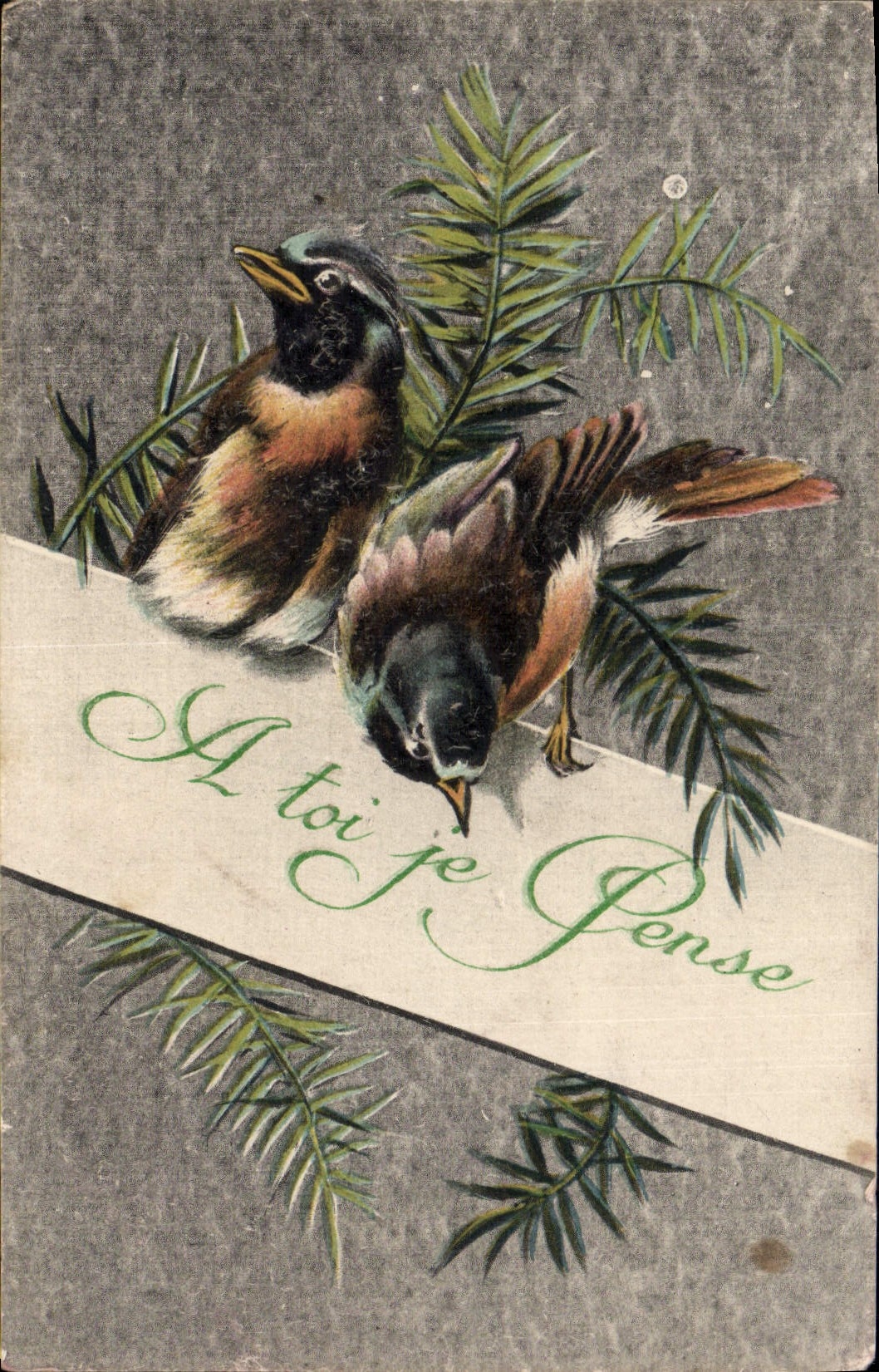 CPA Fantaisie Oiseaux