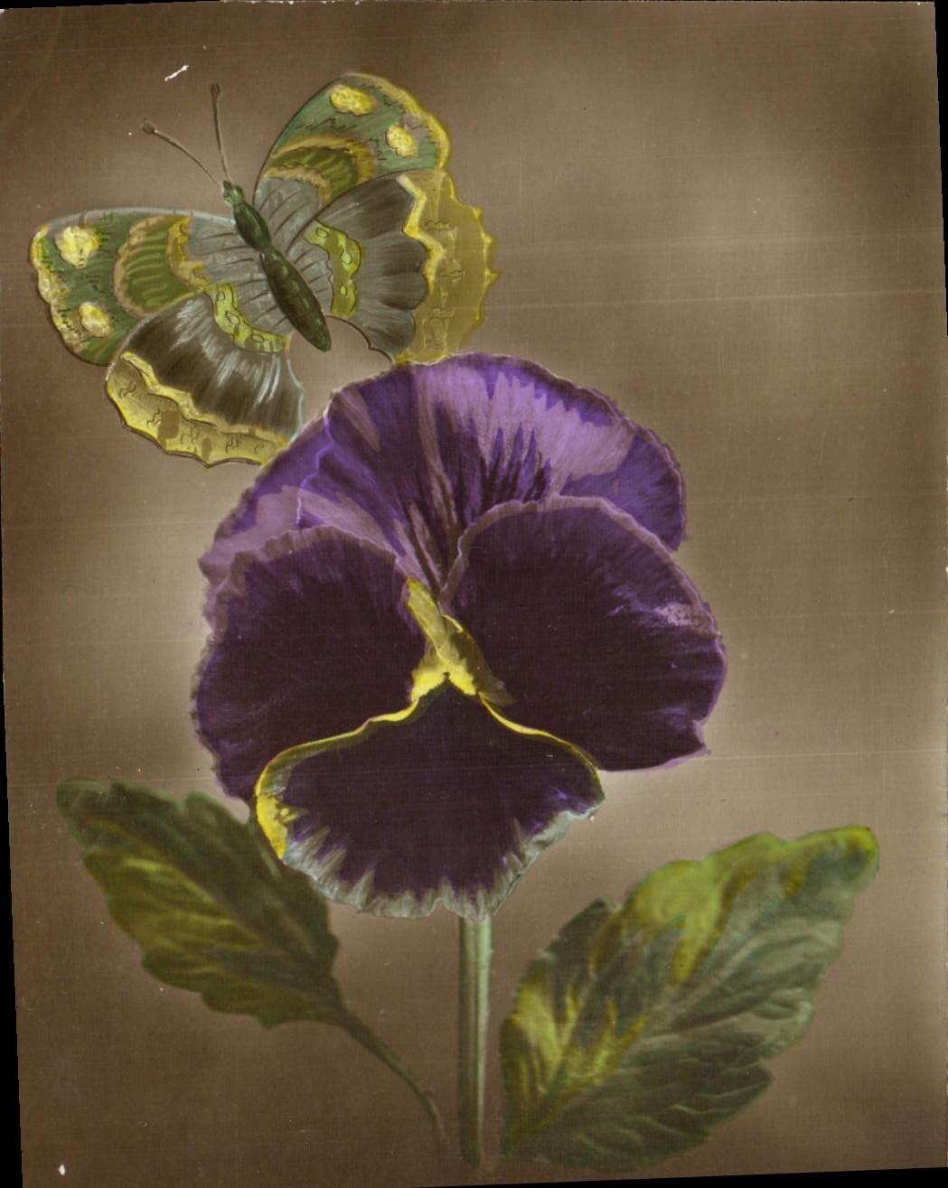 CPA Fantaisie Fleurs Papillon