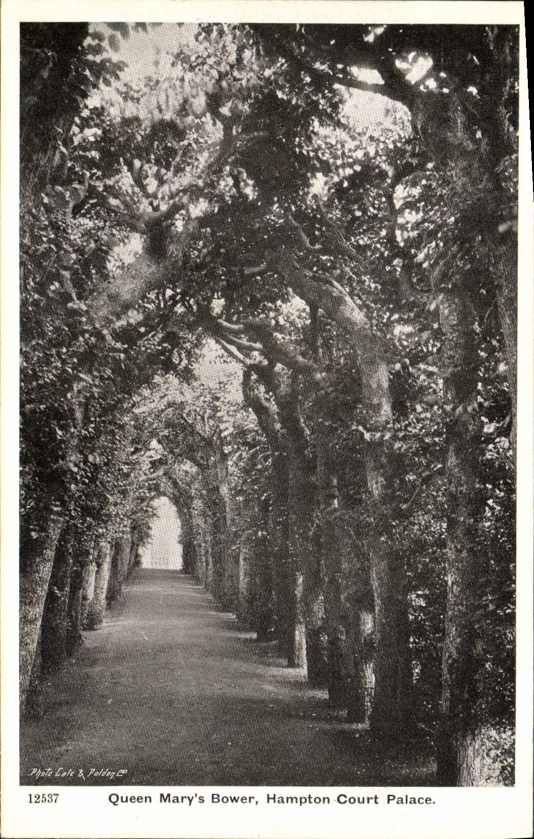 Hotel luxe del De del Hampton Court de la glorieta de Queen Mary de la POSTAL de la VENDIMIA