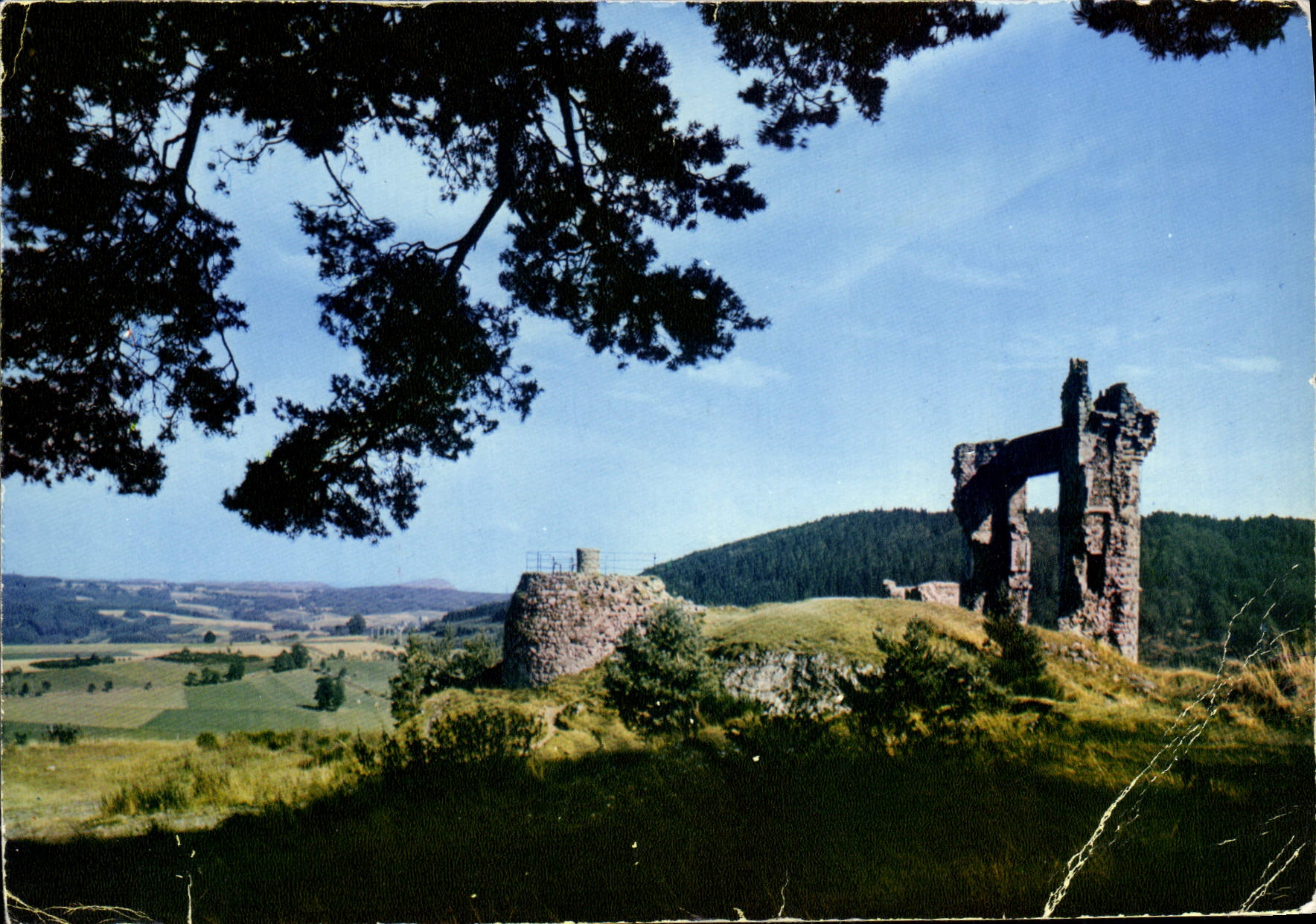 MODERN CARD Lively the Bracket