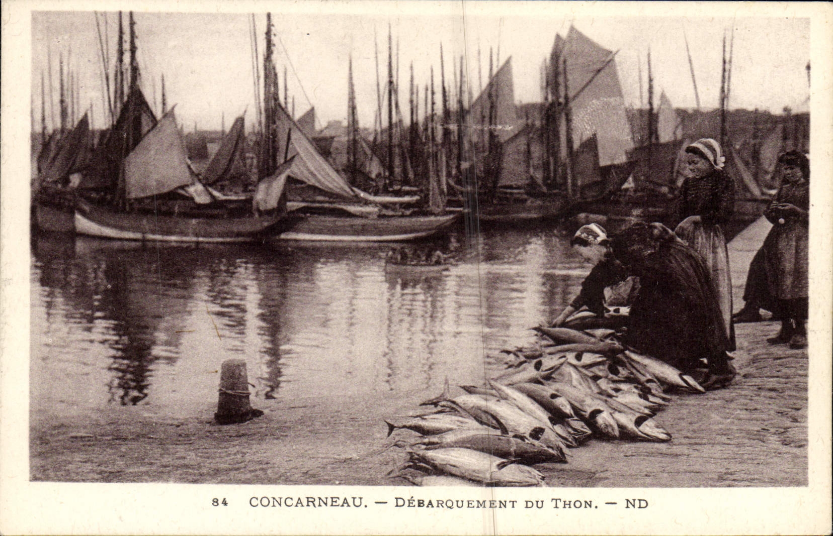 VINTAGE POSTCARD Concarneau Unloading Of Tuna sinned