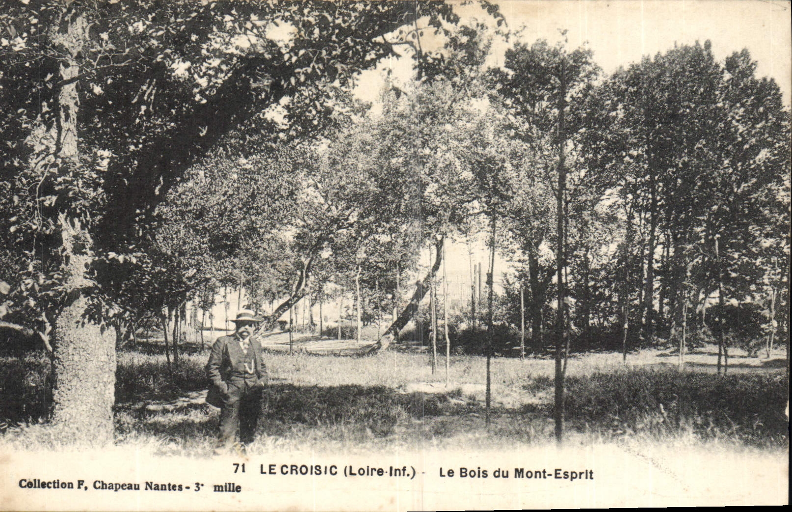 VINTAGE POSTCARD Croisic the Wood of the Mount Spirit