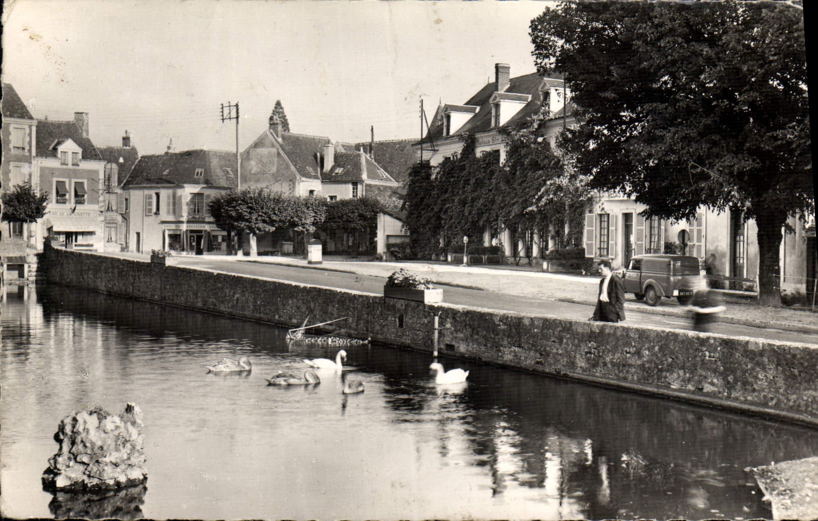 CPM Belleme La Piece d'eau et ses Cygnes