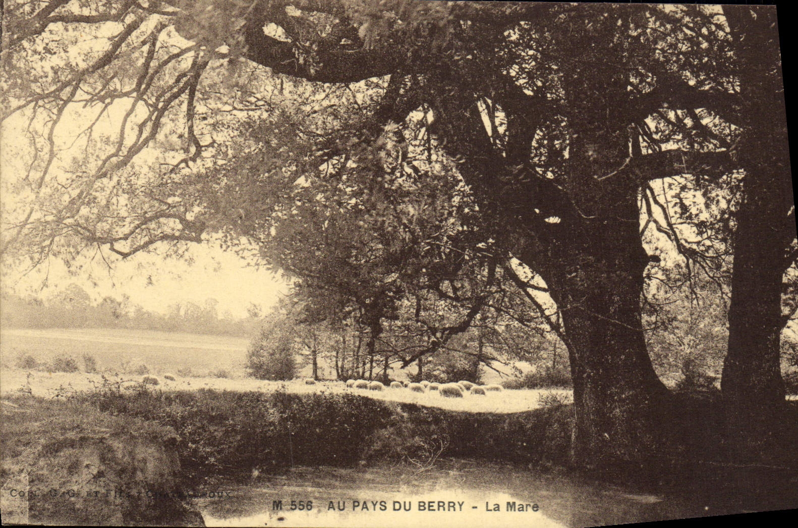 VINTAGE POSTCARD With the Country Of Berry the Pond
