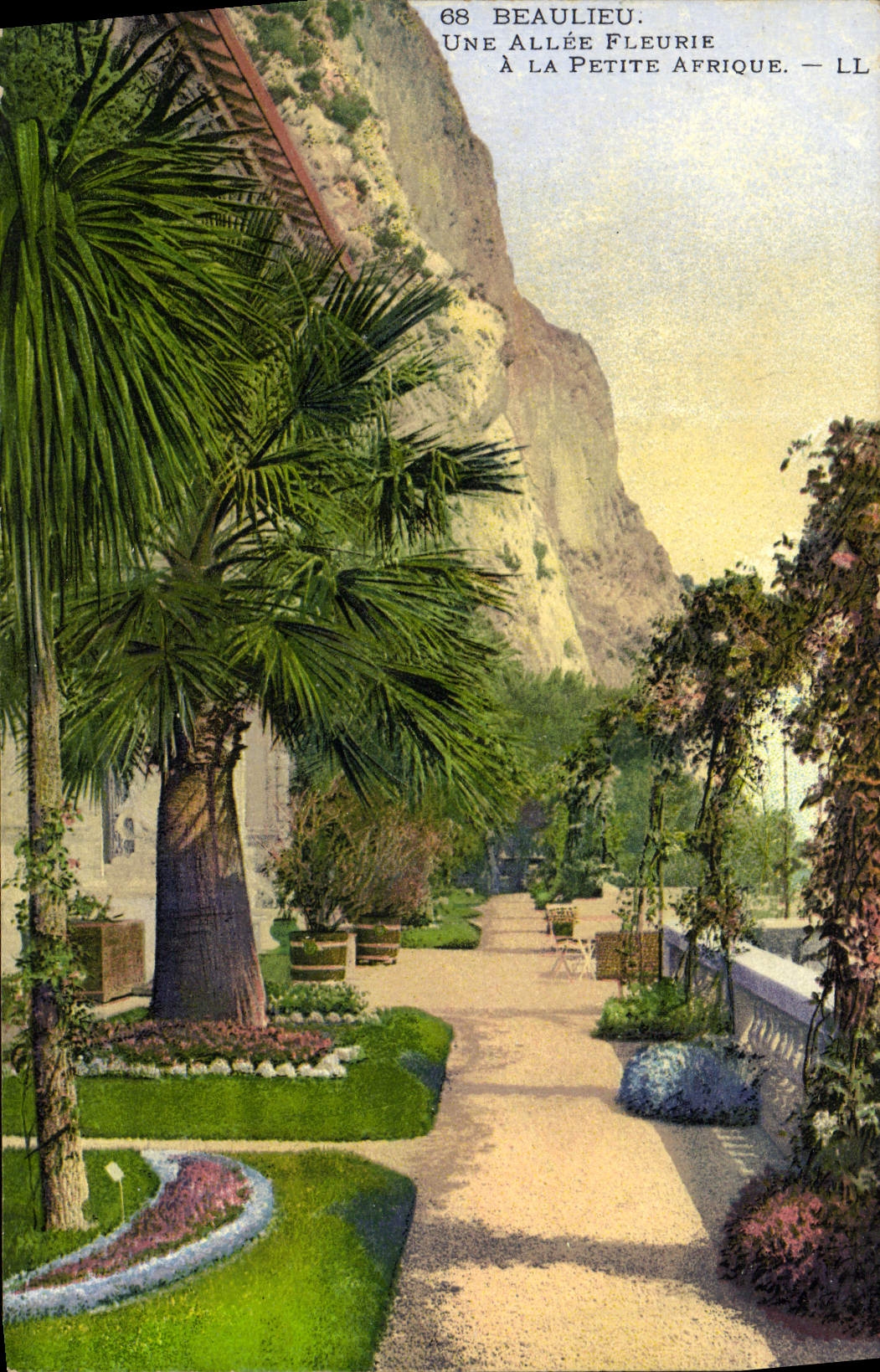 VINTAGE POSTCARD Beaulieu an alley flowered in Small Africa