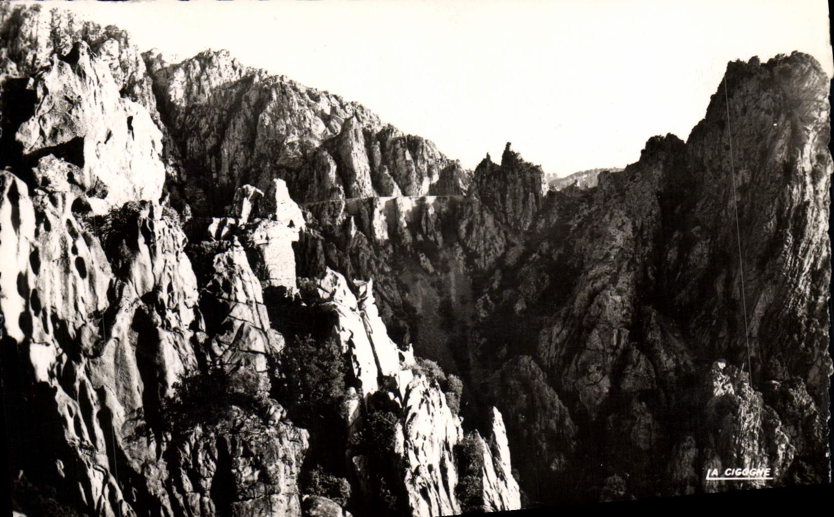 MODERN CARD the Creek De Piana