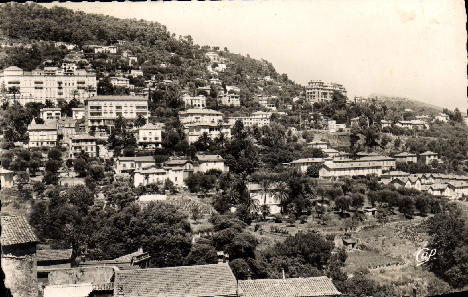 CPM Grasse Les villas et les Hotels