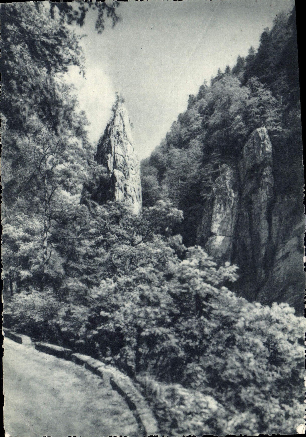 POSTAL MODERNA monasterio del camino chartreuse grande del pico chartreuse grande de la amapola del aceite