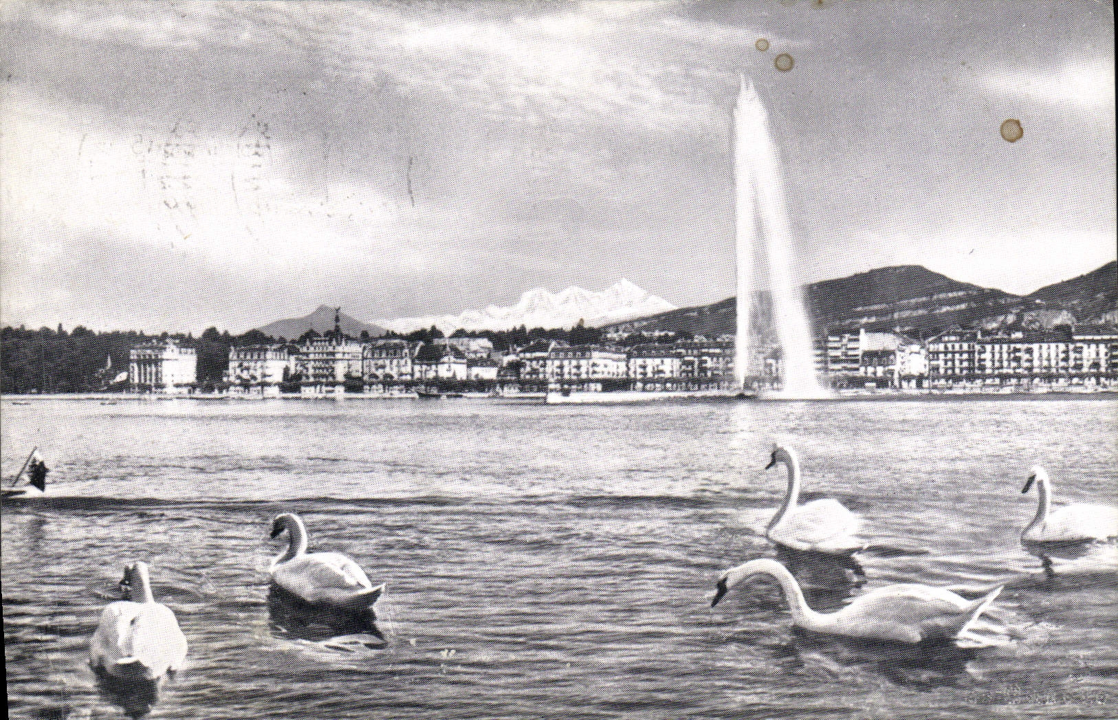 CPA Geneve La Rade Le Jet D'Eau Cygnes