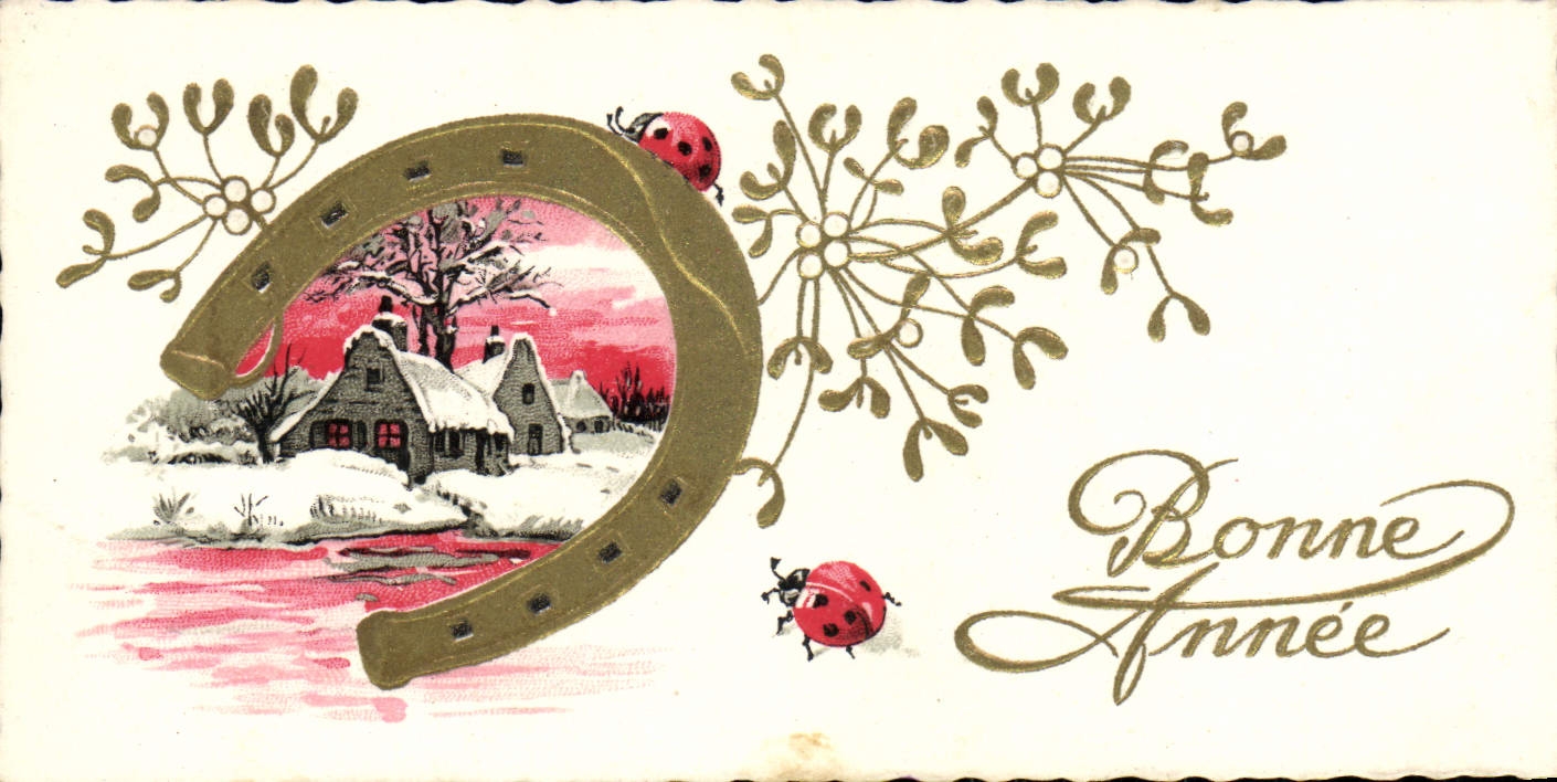 CPA Fantaisie Bonne Annee Fer a cheval