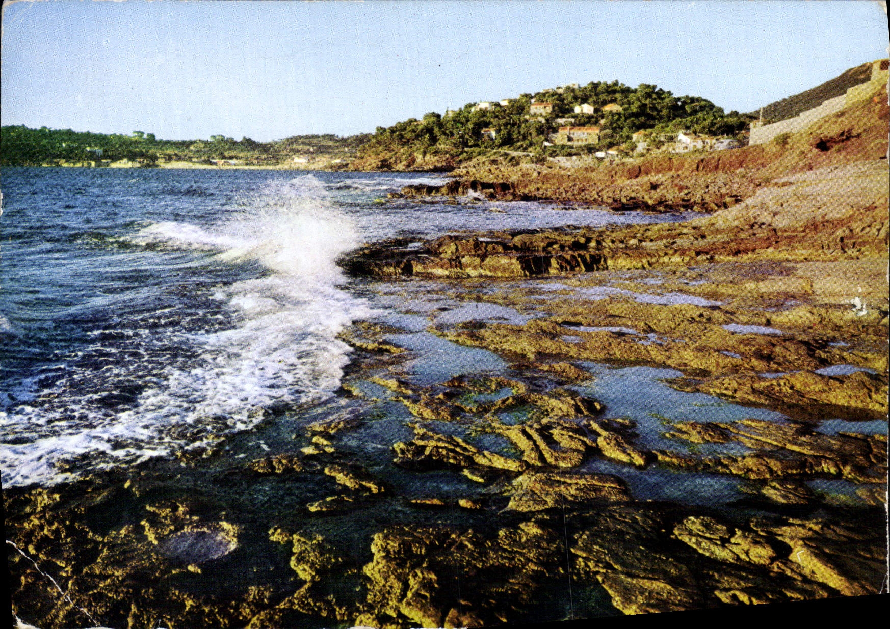 CPM Les Oursinieres So Cote D'Azur et d'or