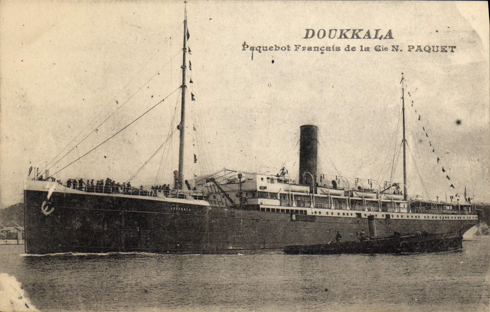 CPA Doukkala Paquebot Francaia de la Cie N Paquet