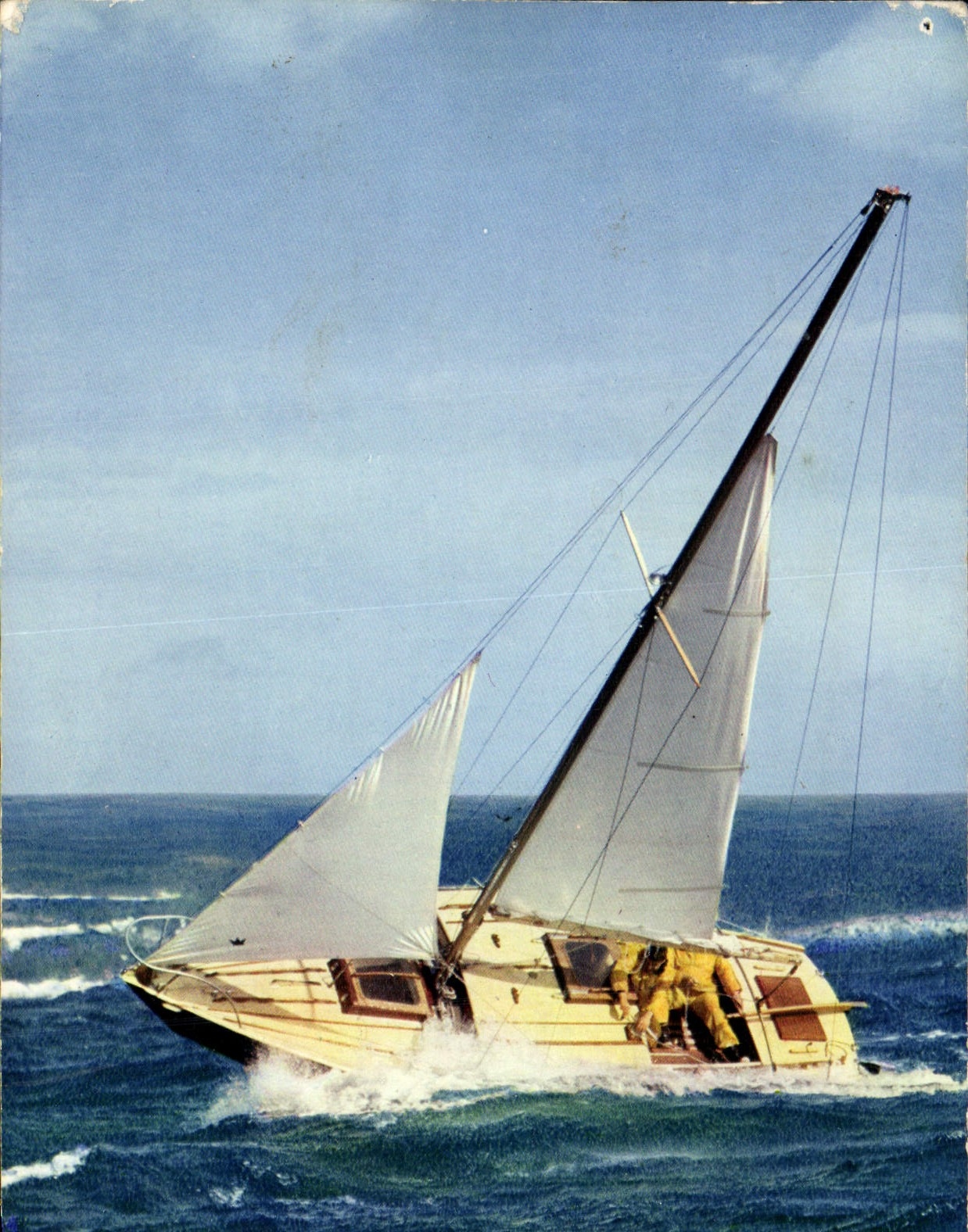 CPM Bateaux De Plaisance Voiliers Au Pres