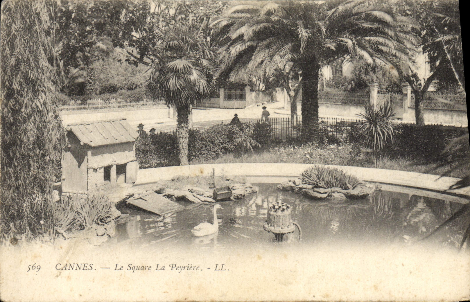 CPA Cannes Le Square La Peyriere Cygne
