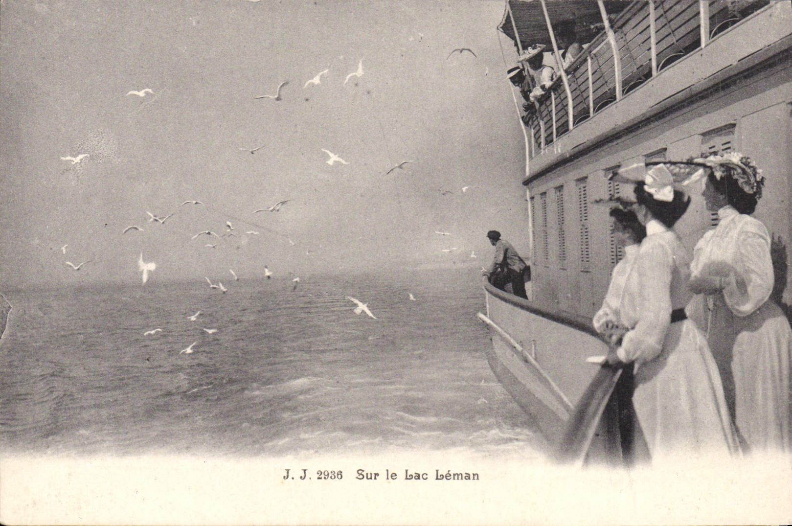 CPA Sur le lac leman Femmes Mouettes 