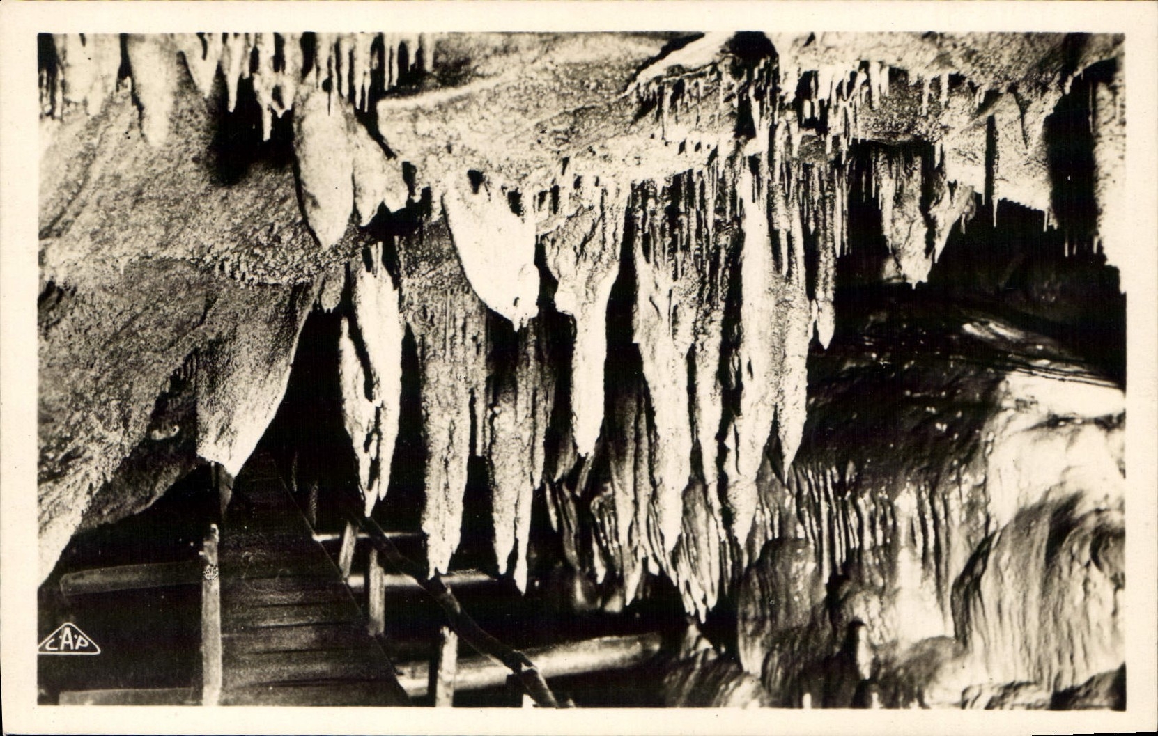 CPM Les Grottes de Betharram Les Larmes figees