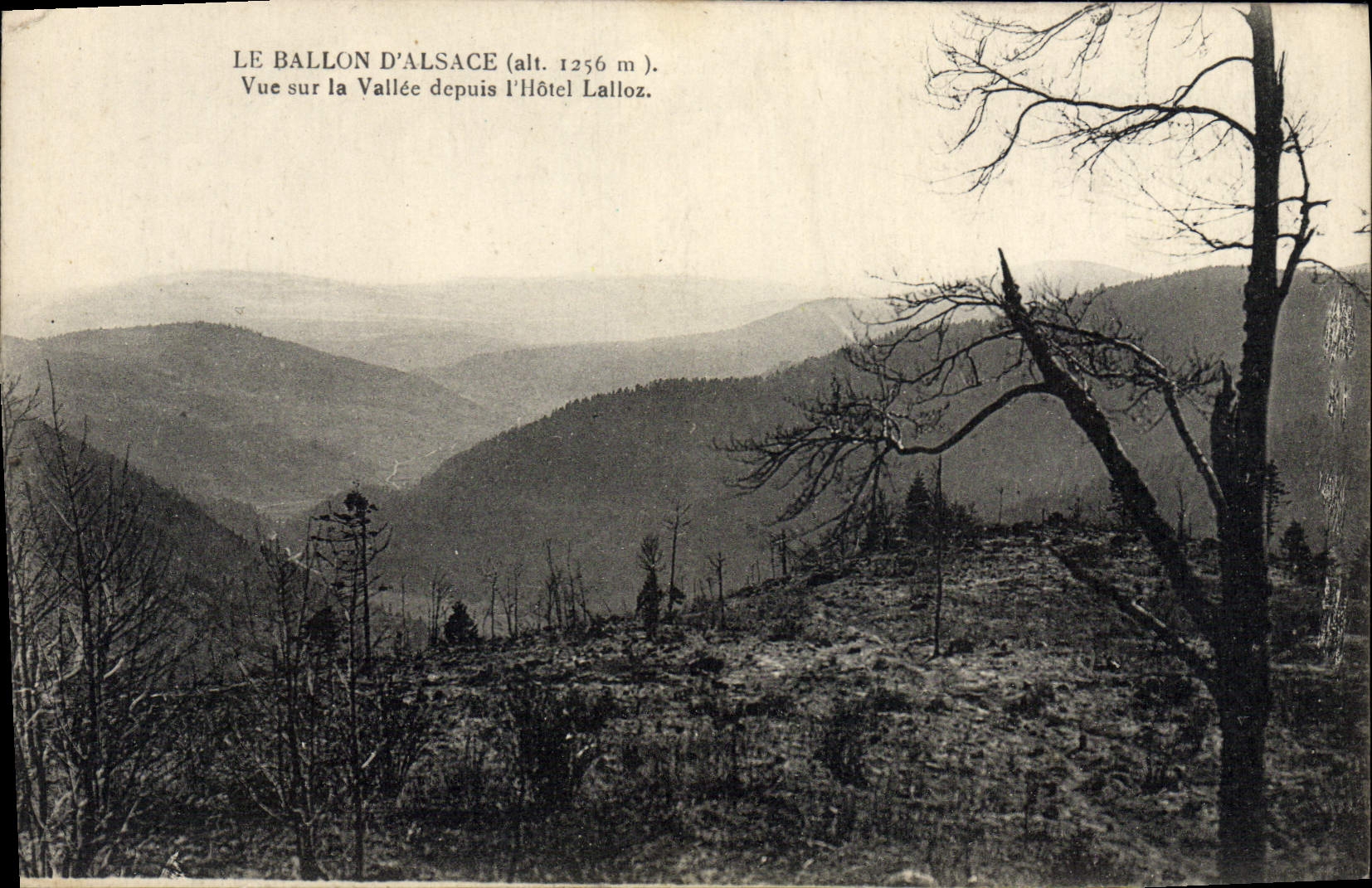 CPA Le Ballon D'Alsace Vue Sur la Vallee Depuis l'hotel lalloz
