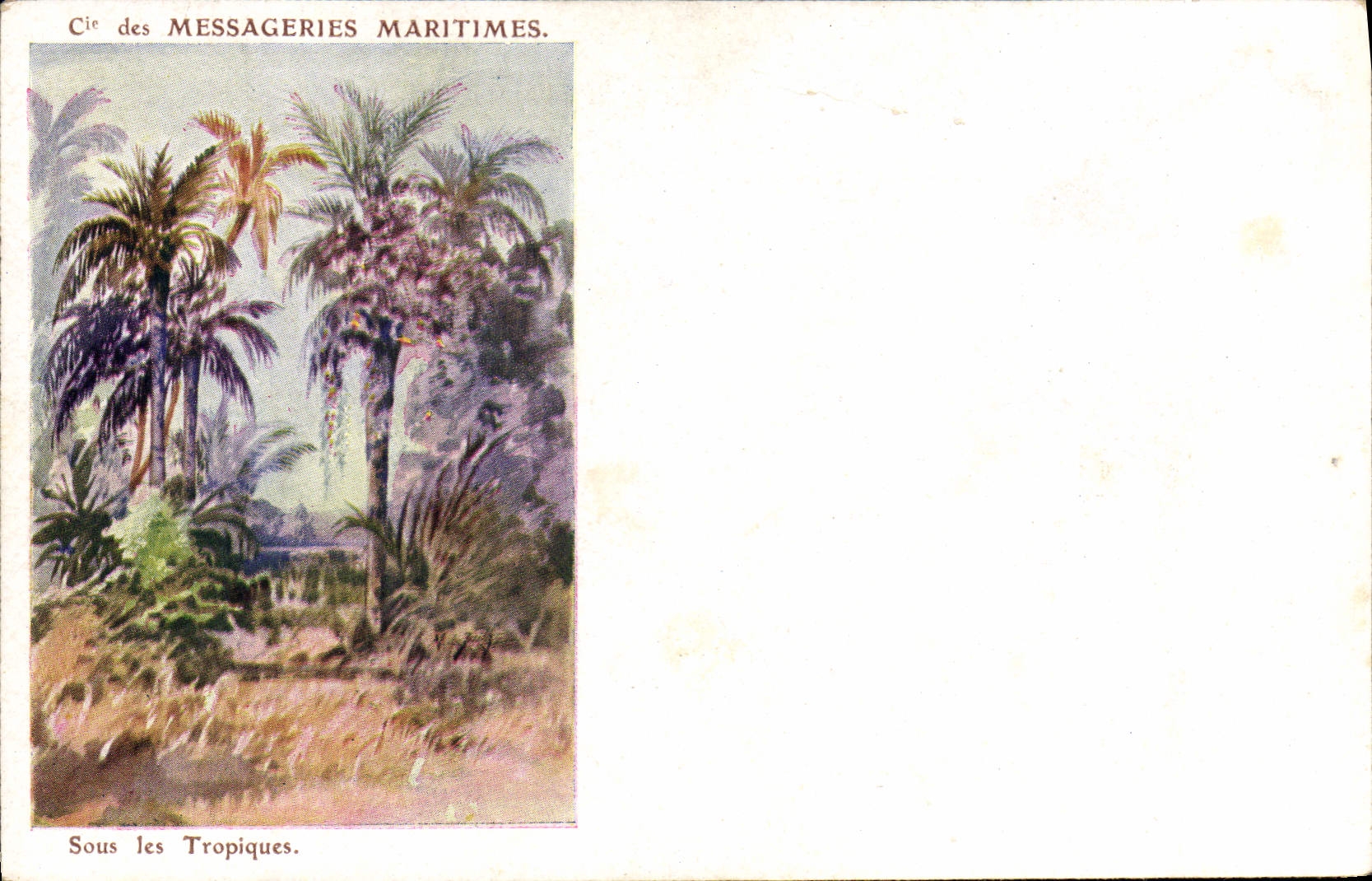 CPA Cie des Messageries Martimes Sous les tropiques Palmiers