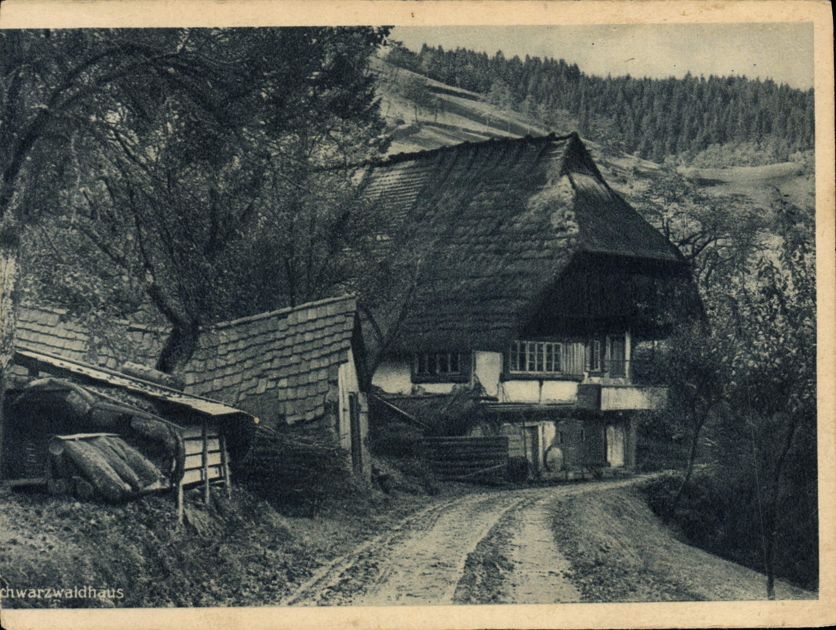 CPA Maison Foret Noire 
