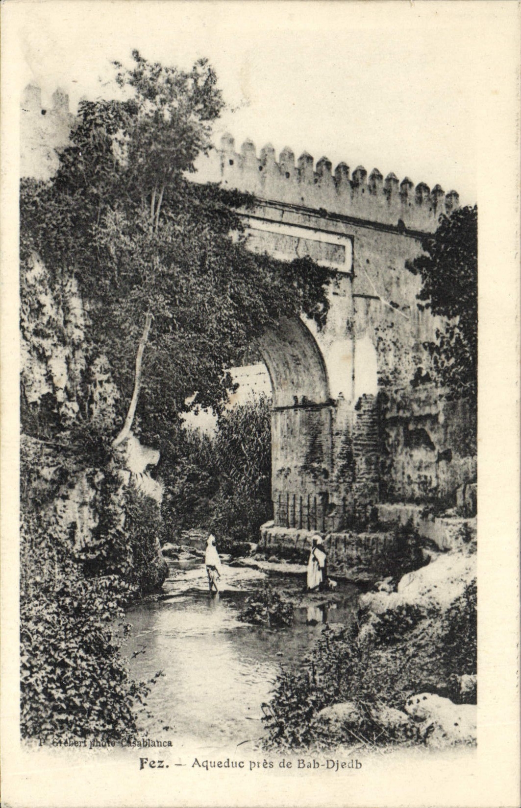 CPA Fez Aqueduc Pres De Bab Djedb