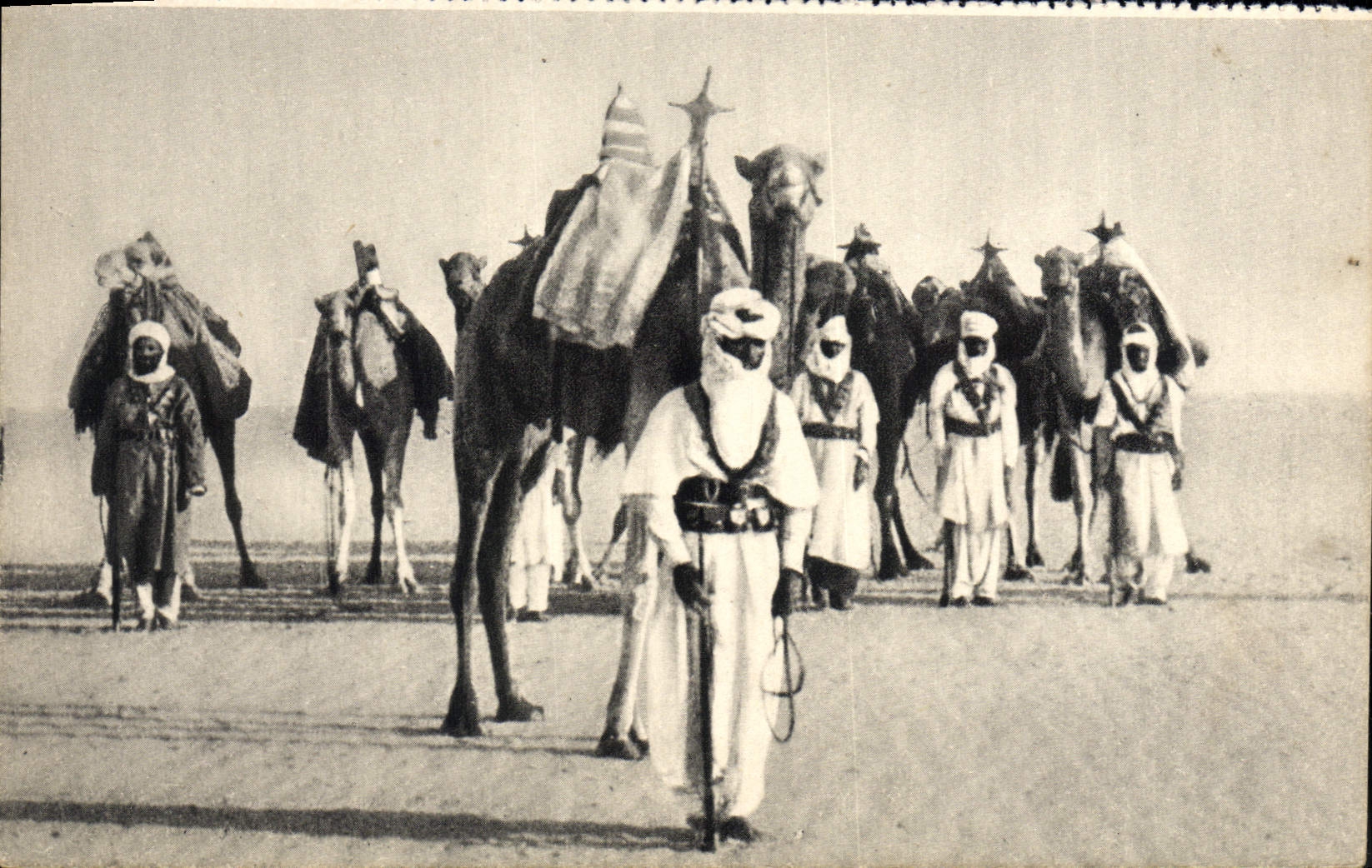 CPA Meharistes Militaria Chameau