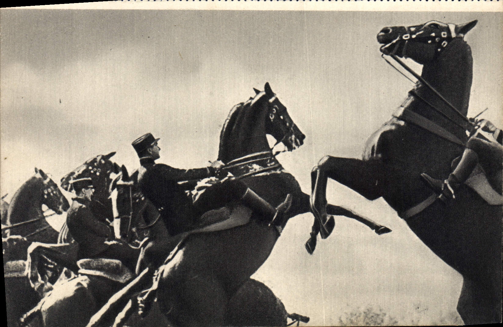 CPA Les Ecuyers Du Cadre Noir Cheval Hippisme 