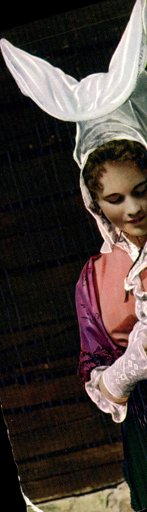 CPM La Normandie Grands Volante de Coutances Bons amis Groupe folklorique La Rose aux Bouais d'Avranches Lapin