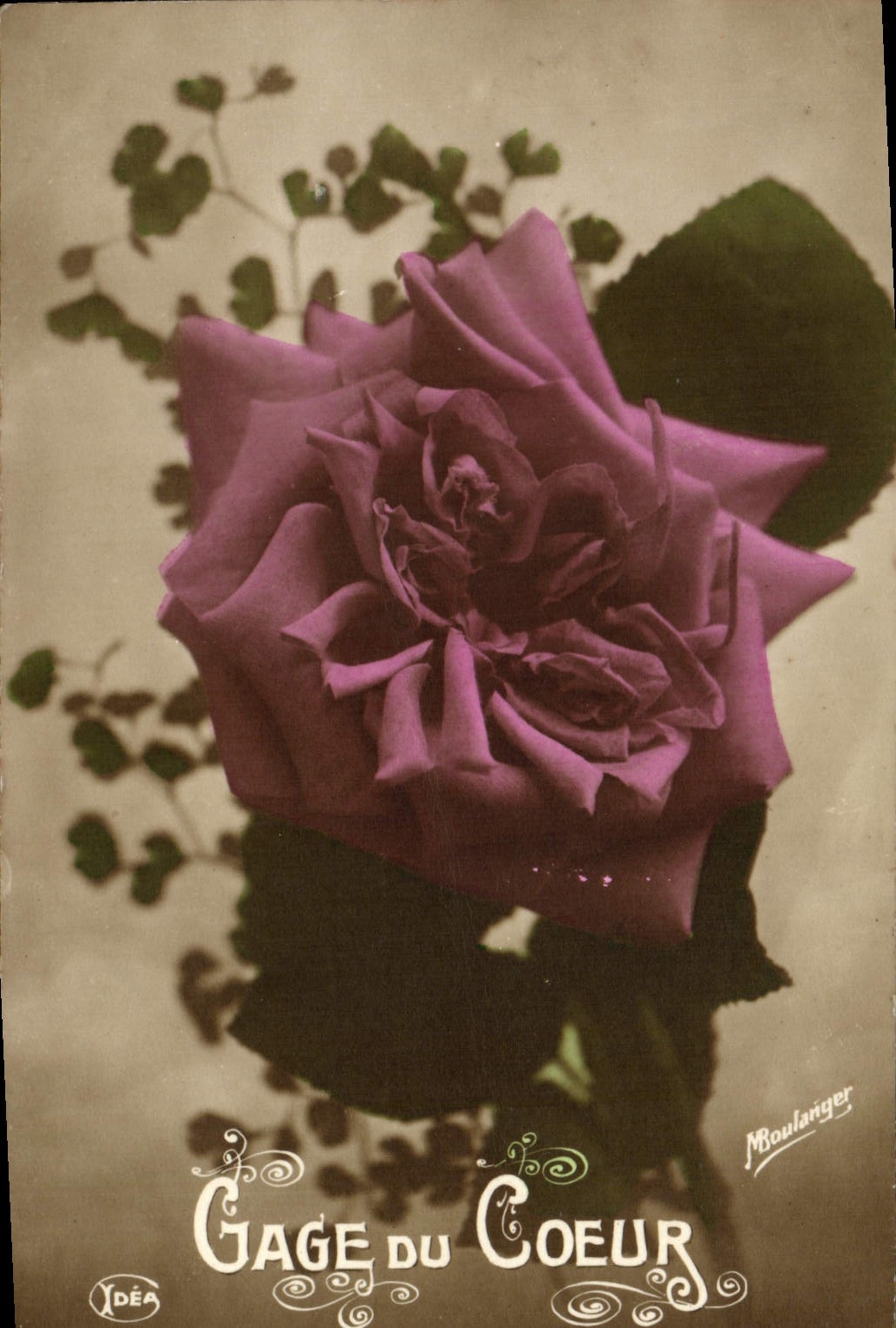VINTAGE POSTCARD Fantaisie Rose Flowers Guarantees Heart