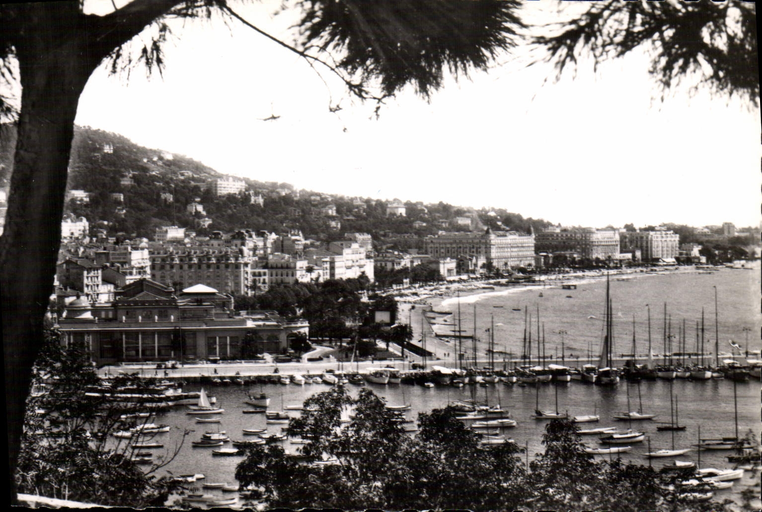 CPM Cannes Vue du Casino et du Port Bateaux