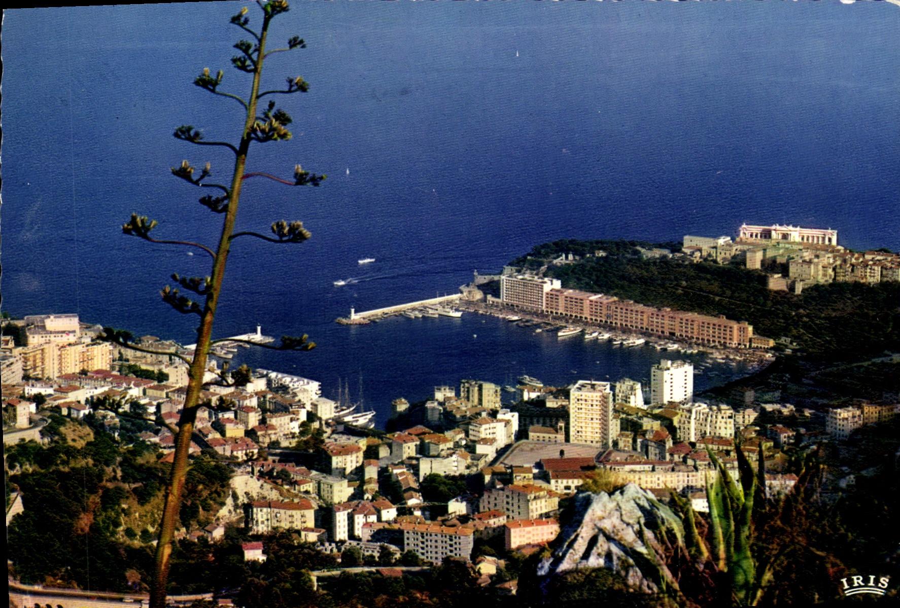 CPM Principaute De Monaco Vue Generale Prise de la Turbie Flamme Couronne du blason Mediterranee