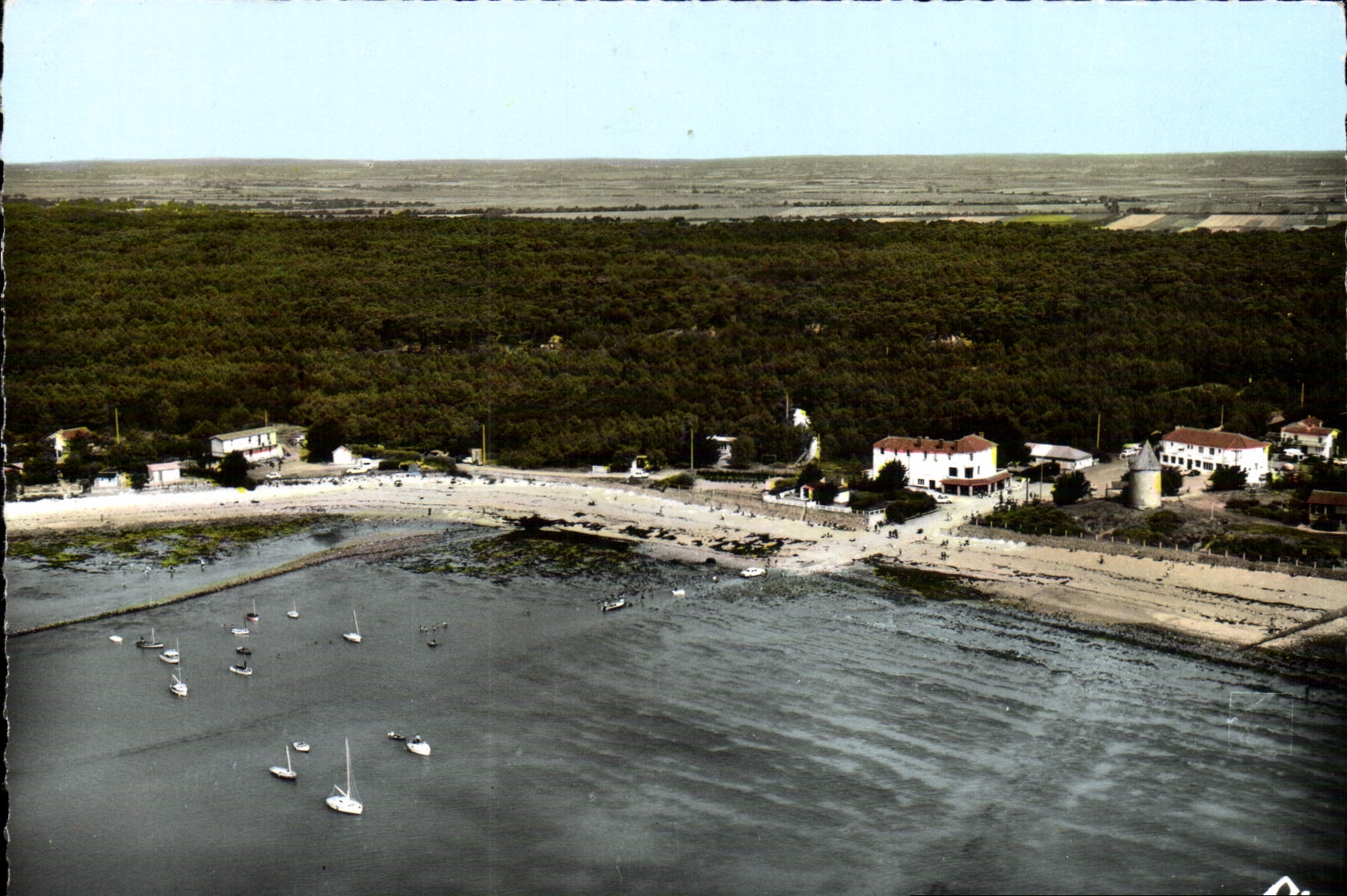 CPM Jard Sur Mer Le Port et la Plage Vue aerienne