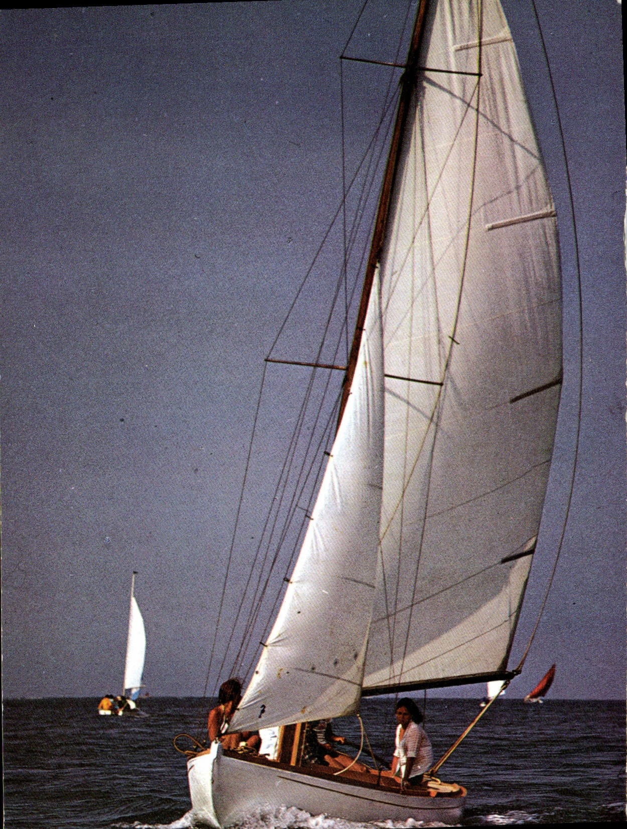 CPM Voile La Plaisance Tofinou