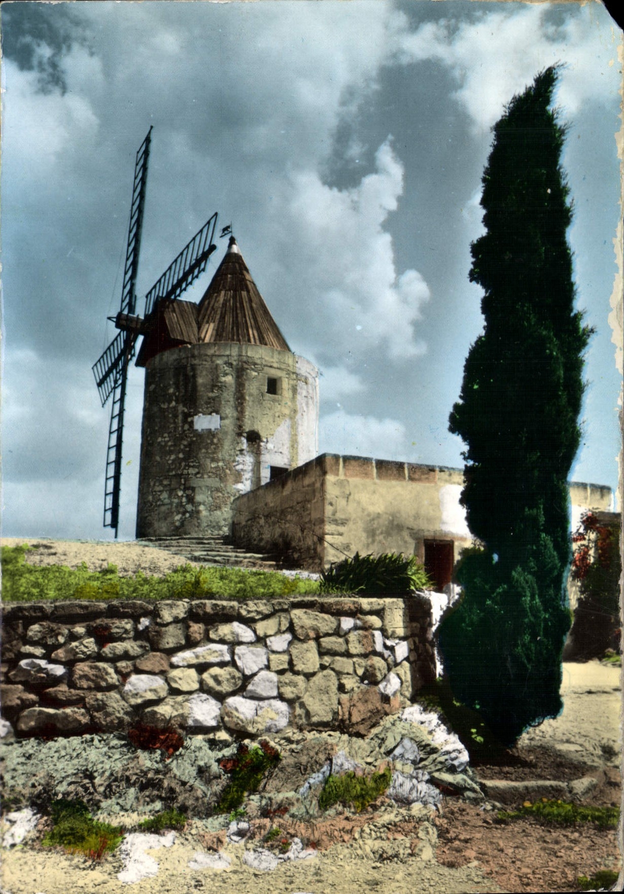 CPM Provence Le Moulin De Daudet