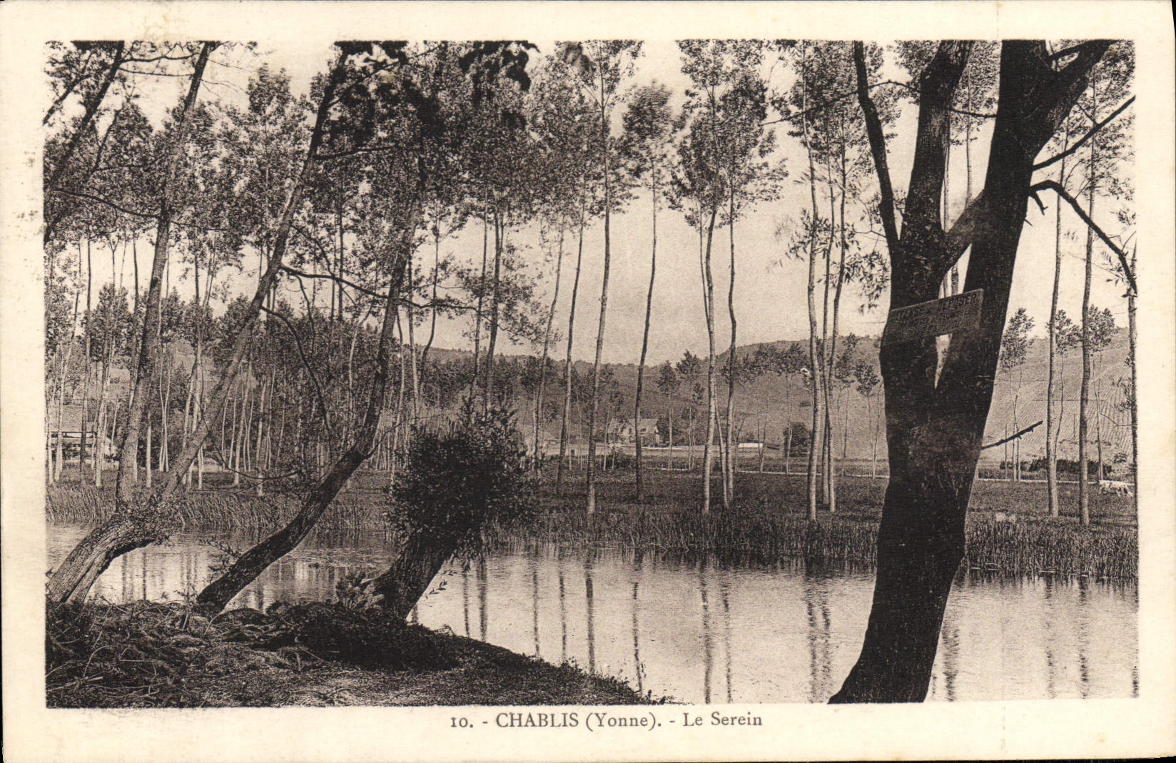 CPA Chablis Le Serein